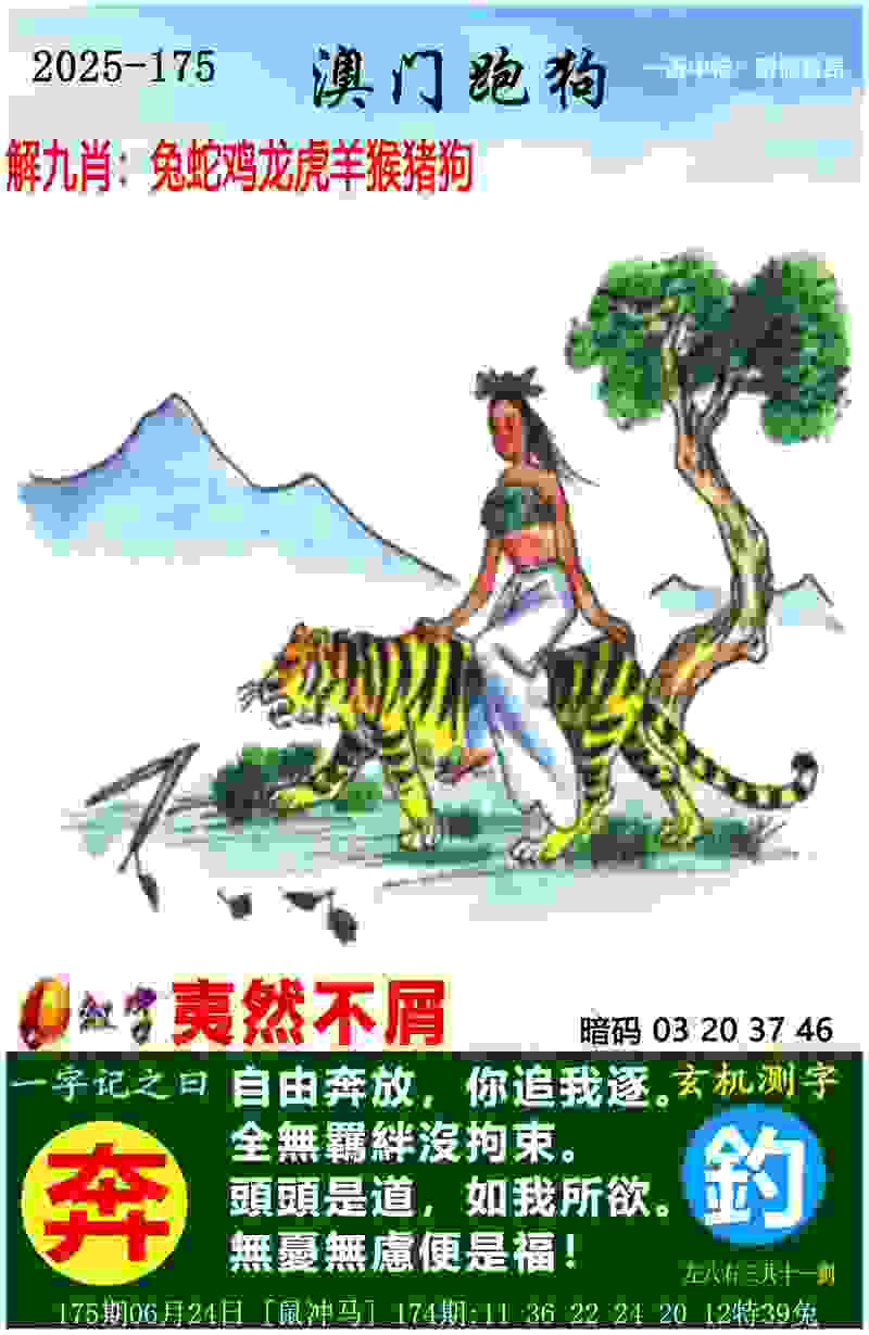 全国跳水冠军赛：陈艺文成为女子3米板“双冠王”